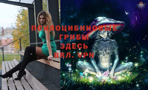 кокс Алексеевка